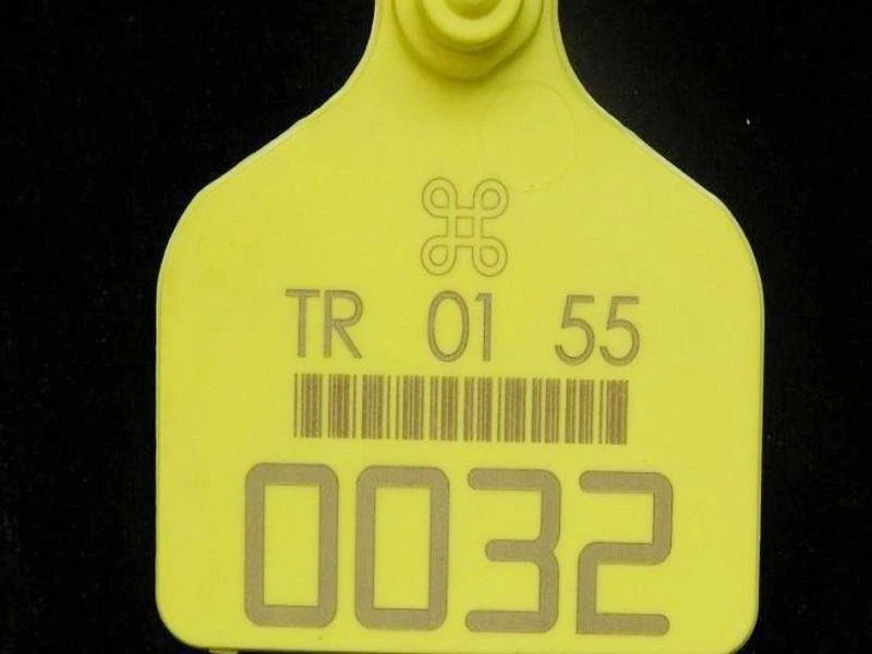 Animal ear tag 2D code laser marking.jpg
